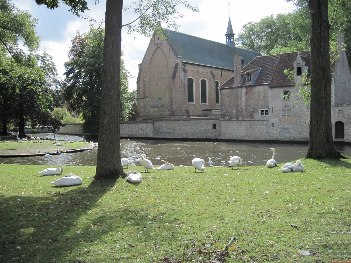 33- Bruges- Convento delle Beghine con un angolo del giardino